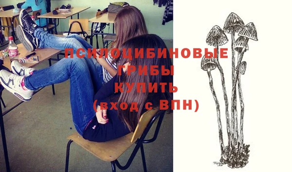 а пвп мука Аркадак