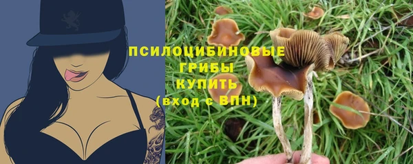 ALPHA PVP Алзамай